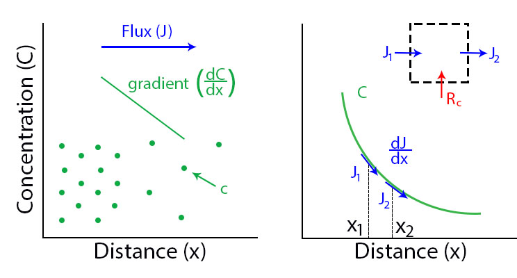 _images/fig2.jpg