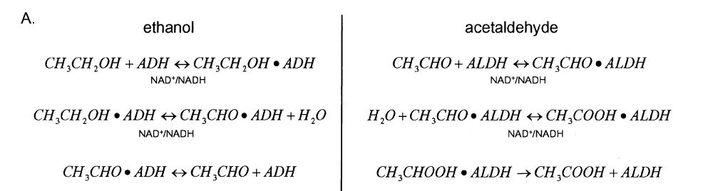 chemical equations
