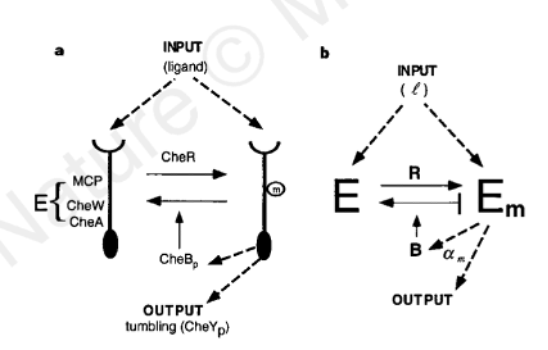 _images/figure61.png
